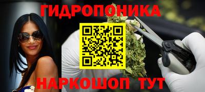 эйфоретик Ачхой-Мартан