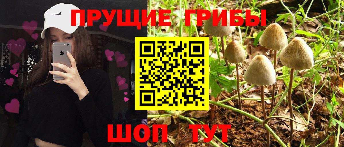 Псилоцибиновые грибы ЛСД Богородск